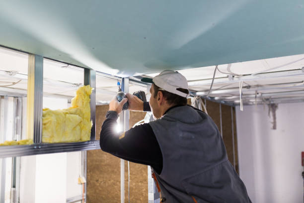 Best Residential Insulation in San Diego, TX