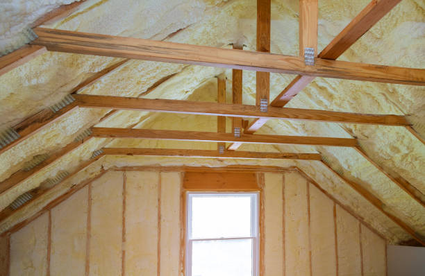 Best Geographic-Specific Insulation Services in San Diego, TX