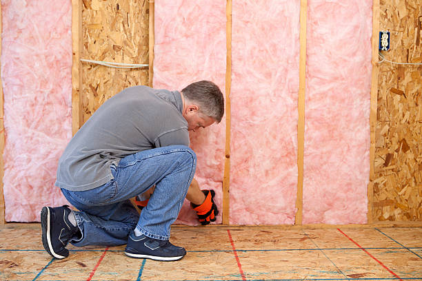 Best DIY Insulation Kits and Guidance in San Diego, TX